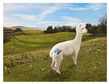 PlayOJO launches new UK TV campaign featuring a dancing alpaca!