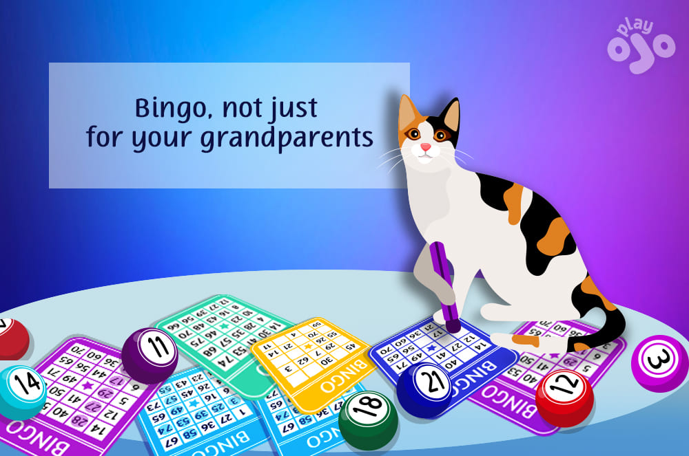 bingo cards with a cat on the table
